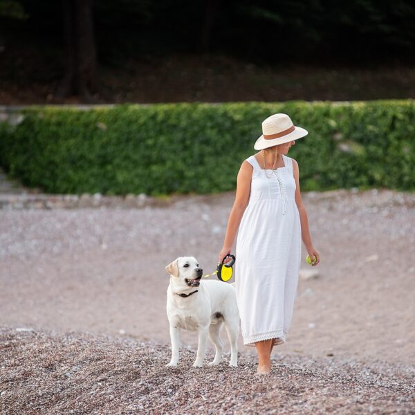 Concept of traveling with pets, pet friendly beach. Pregnant future woman with golden retriever